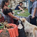 Foto: Mari de la Cruz una comerciante con un alma noble.